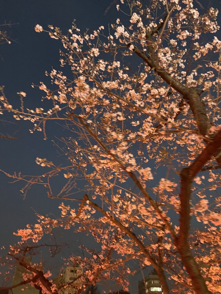 ３月と４月と５月